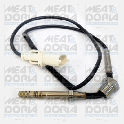 Sensor, exhaust gas temperature